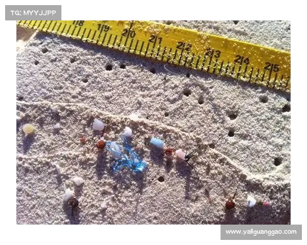 巴西环保组织抗议奥运曲棍球场馆微塑料污染，塞纳河成主角